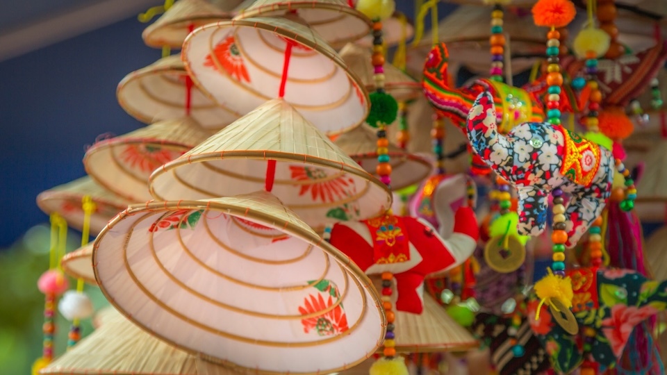 �� 1. Conical Hat (Nón Lá, Dǒulì, Salakot)
�� Countries: Vietnam, Cina, Filippine, ecc.
Known by many names across Asia, this timeless conical hat shields farmers and wanderers alike, in fields and legends.